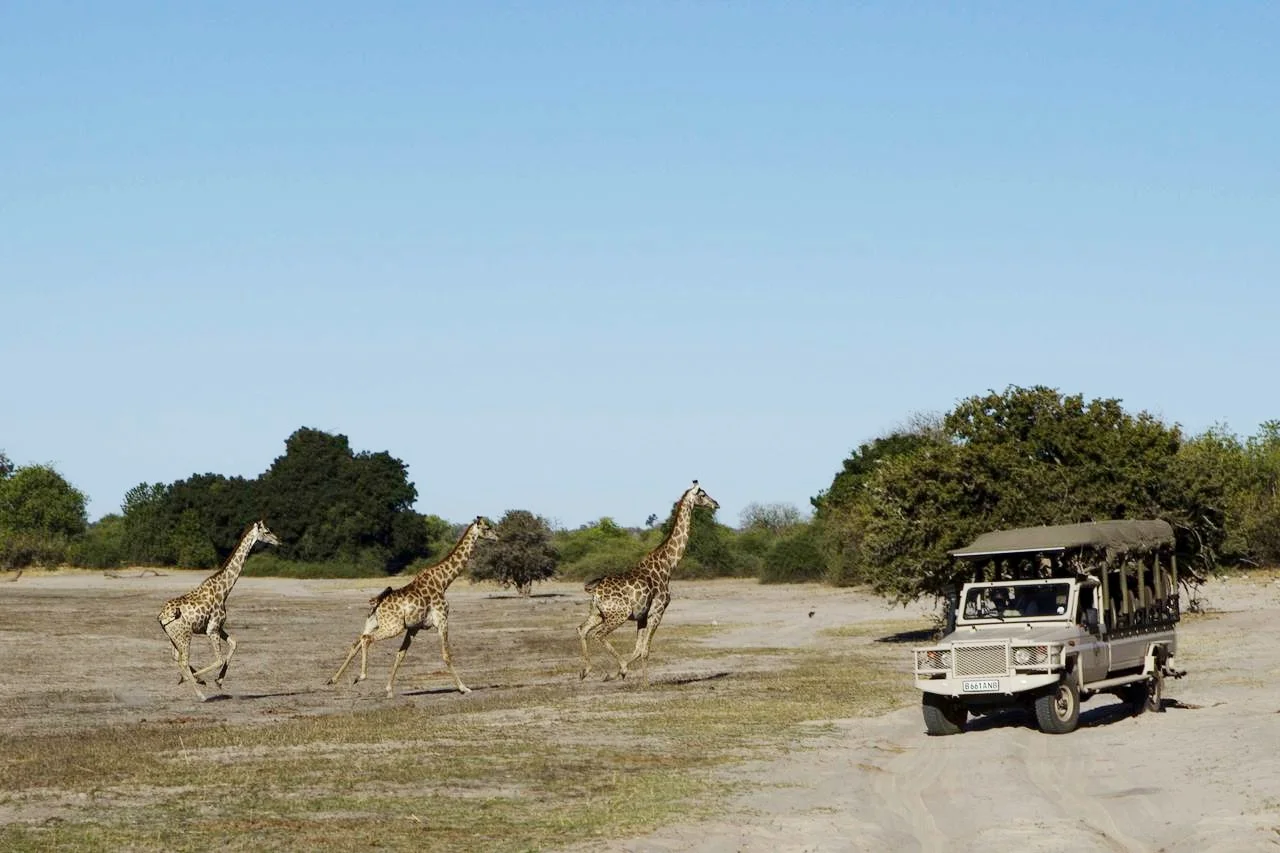 Africa_photographic_safari-Chobe