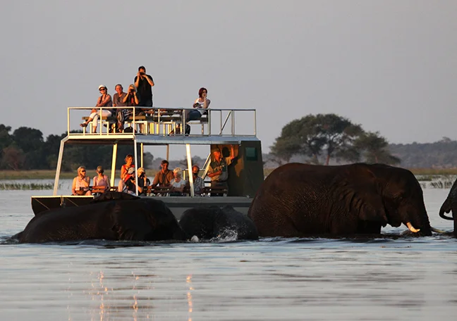 Africa_photographic_safari-Chobe