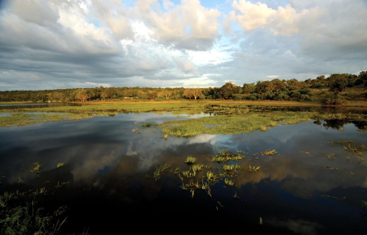 africa_photographic_safari_Chobe