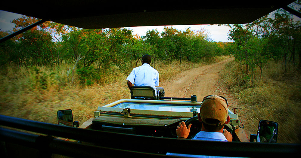 africa_photographic_safari_Kruger_Sabi
