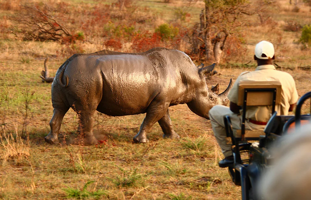 africa_photographic_safari_Madikwe