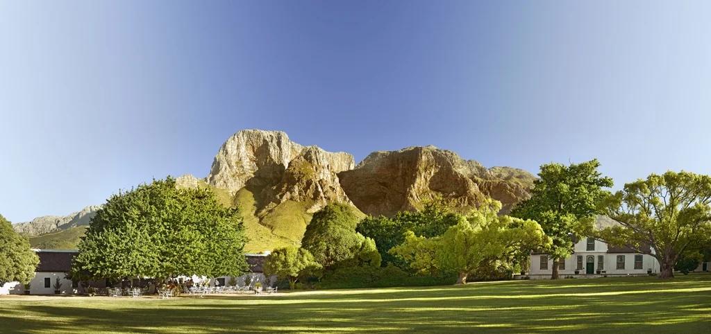 africa_photo_safari-south_africa