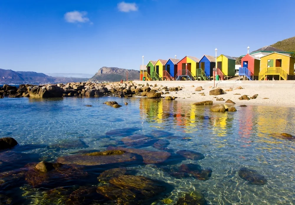africa_photo_safari-south_africa