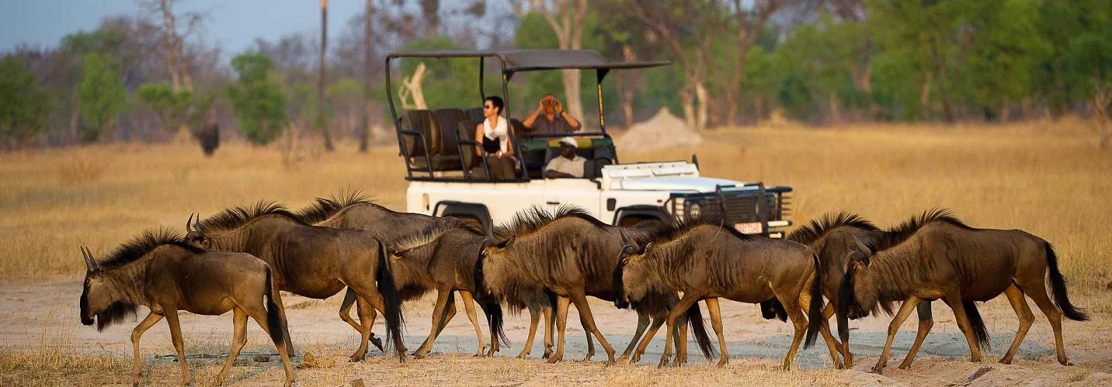 africa_photographic_safari_zambia