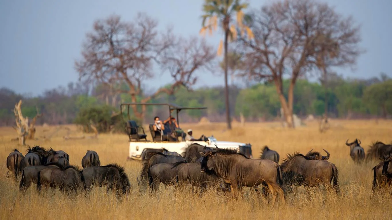 africa_photographic_safari_zambia