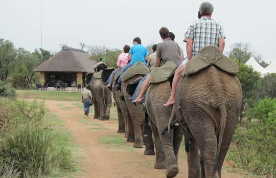 africa_photographic_safari_South_Afrifca