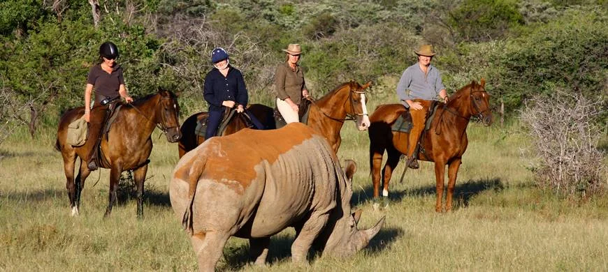 africa_photographic_safari_South_Afrifca