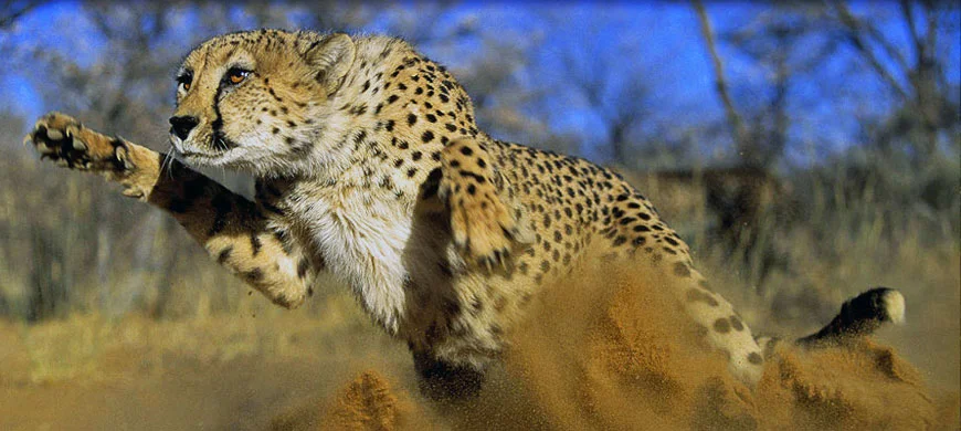 Africa_picture_safaris_Thandeka_32.jpg