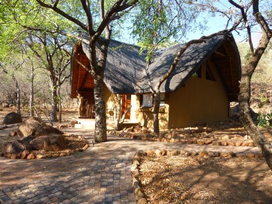 africa_photographic_safari_South_Afrifca