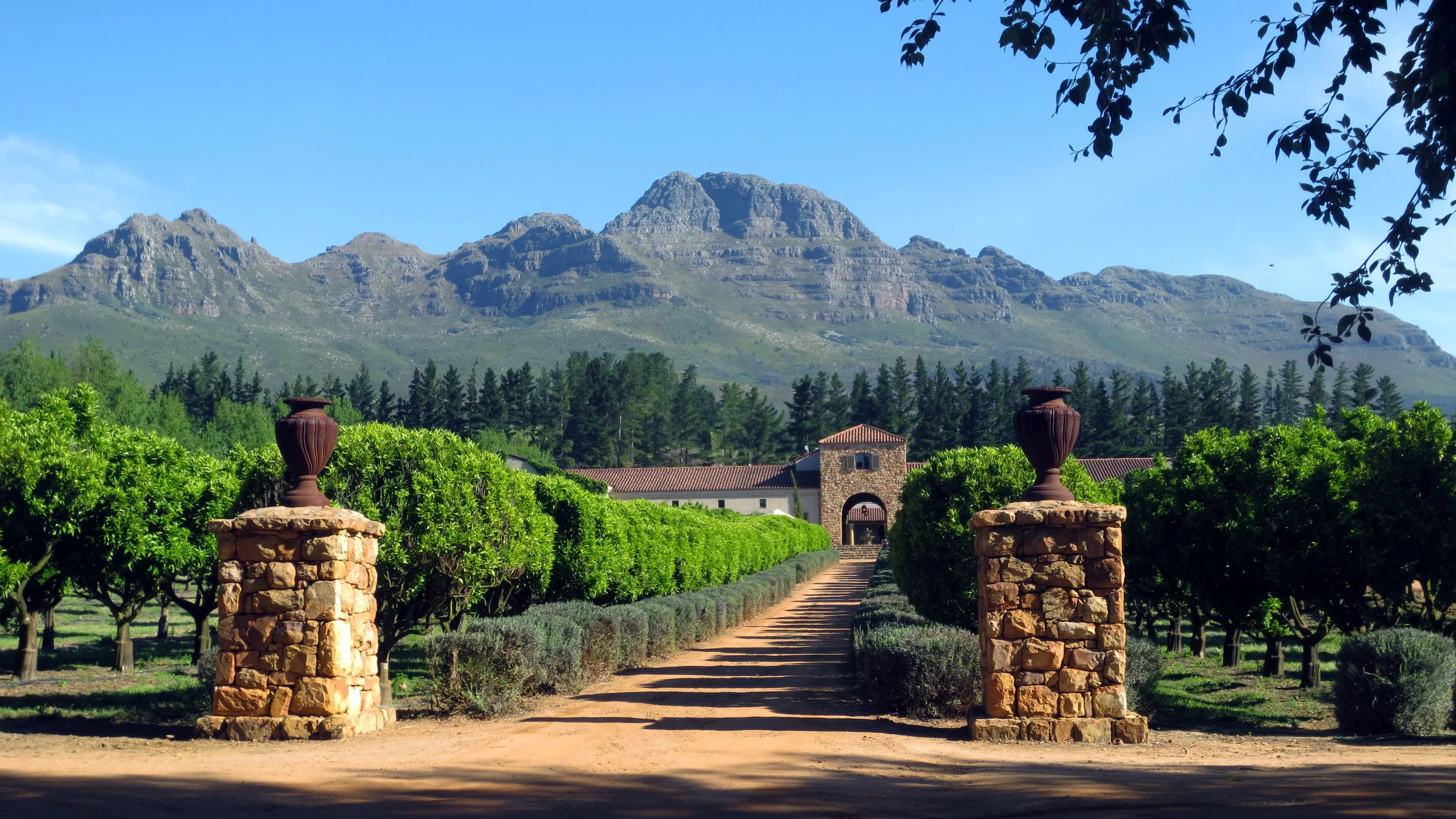 africa_photographic_safari_South_Afrifca_Wine