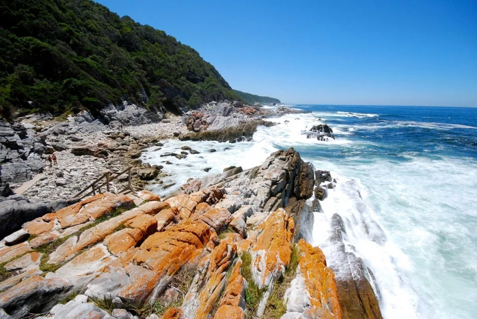 africa_photo_safari_South_Afrifca_cape_town_tours
