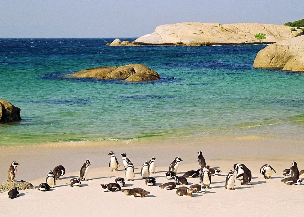 africa_photo_safari_South_Afrifca_cape_town_tours