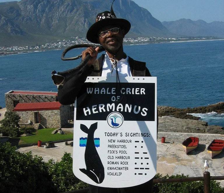 africa_photo_safari_South_Afrifca_cape_town_tours