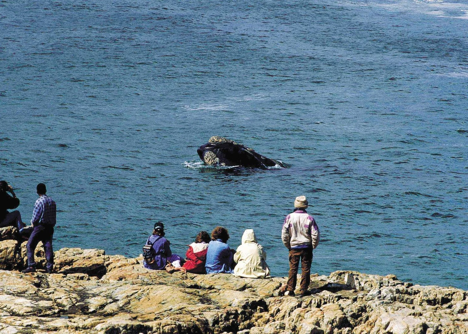 africa_photo_safari_South_Afrifca_cape_town_tours