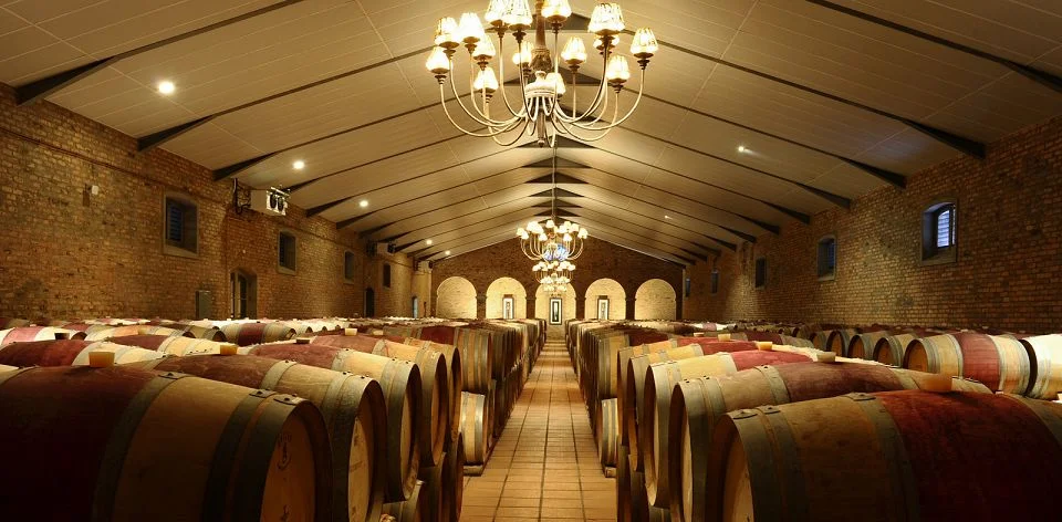 africa_photographic_safari_cape_town_Wine_Lands