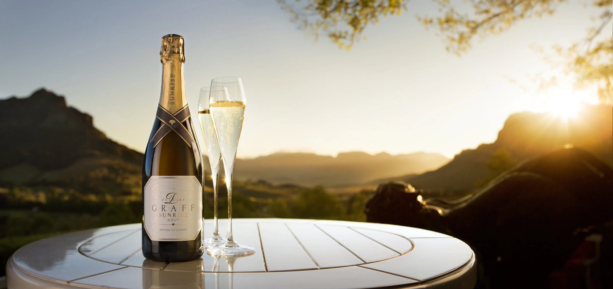 africa_photographic_safari_cape_town_Wine_Lands