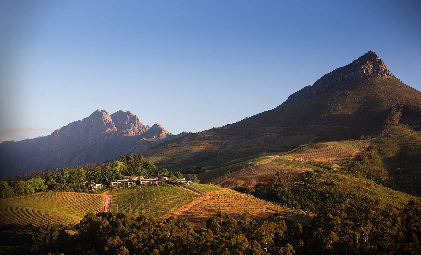 africa_photographic_safari_cape_town_Wine_Lands