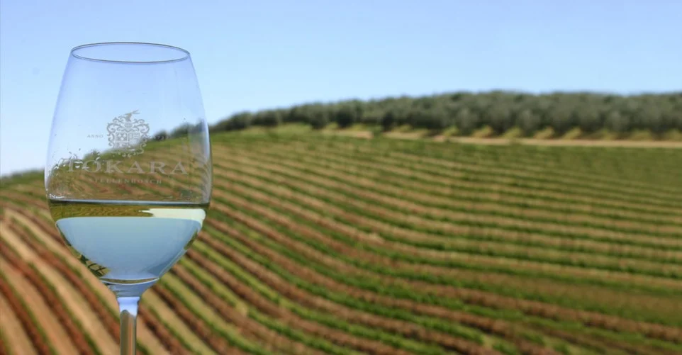 africa_photographic_safari_cape_town_Wine_Lands
