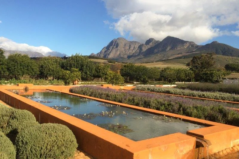 africa_photo_safari_South_Afrifca_Wine_Franschoek