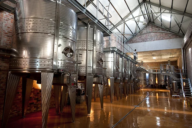 africa_photo_safari_South_Afrifca_Wine_Franschoek