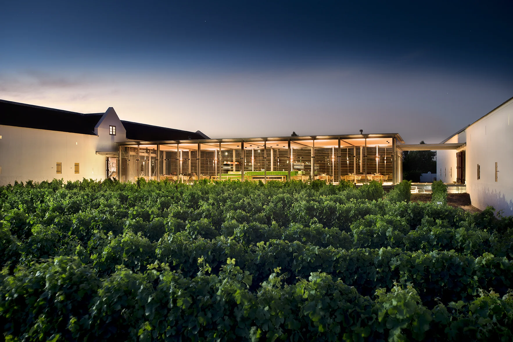 africa_photo_safari_South_Afrifca_Wine_Franschoek