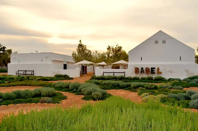 africa_photo_safari_South_Afrifca_Wine_Franschoek