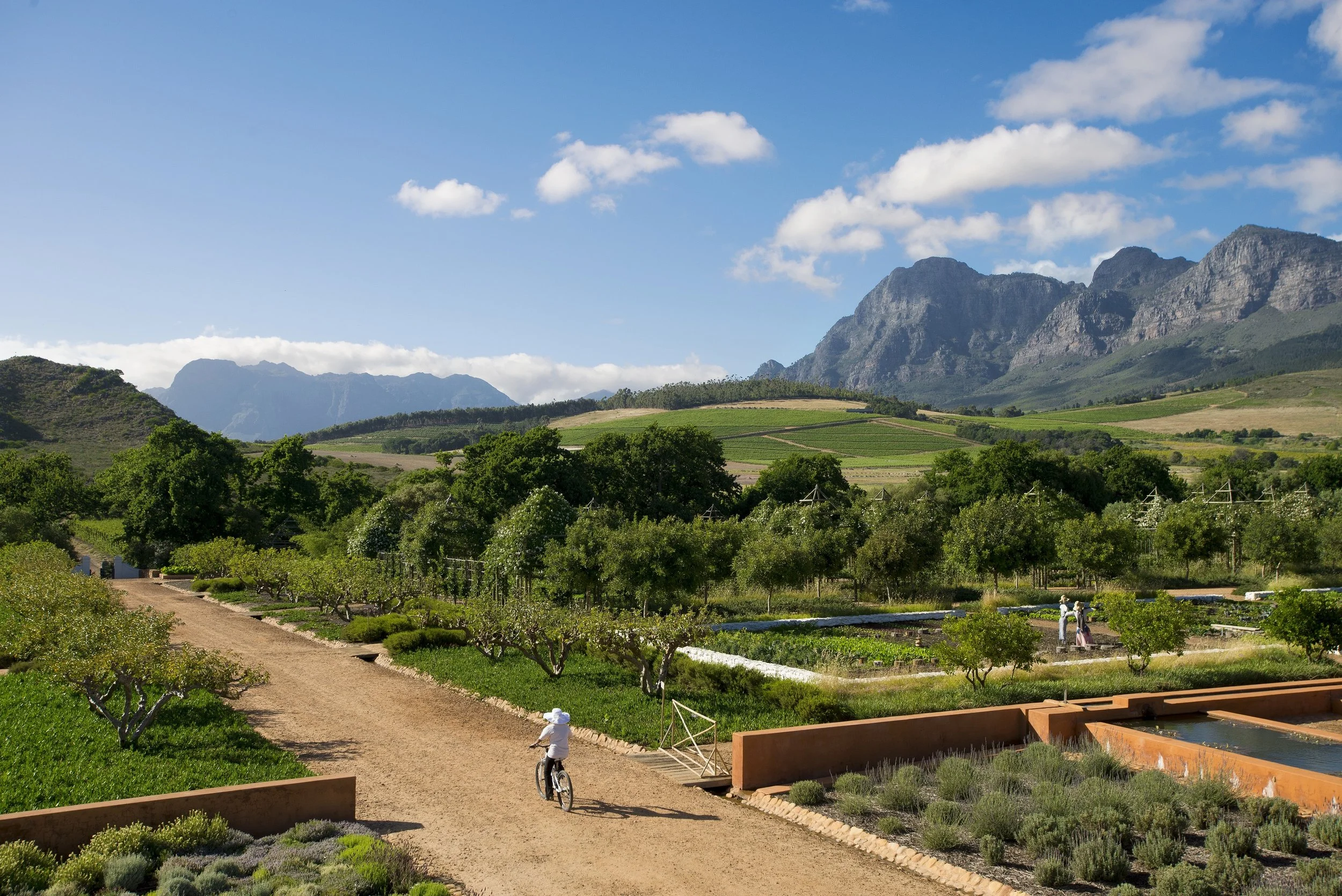 africa_photo_safari_South_Afrifca_Wine_Franschoek