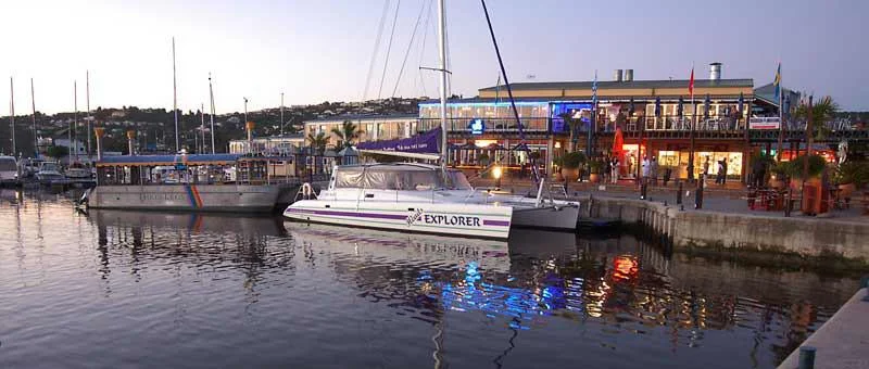 africa_photo_safari_South_Africa_Knysna