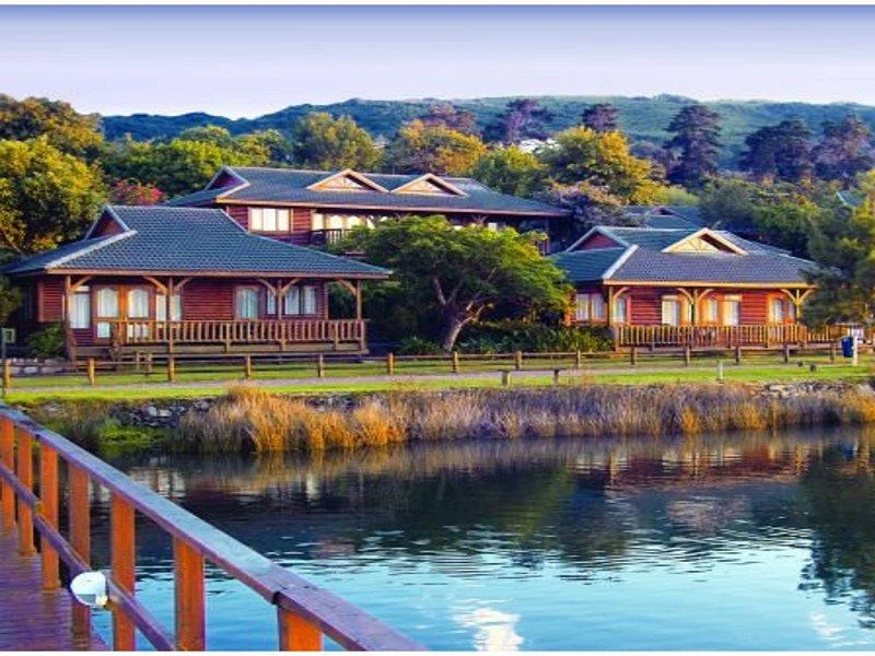 africa_photo_safari_South_Africa_Knysna