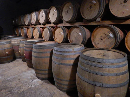 africa_photo_safari_cape_town_wine_tours