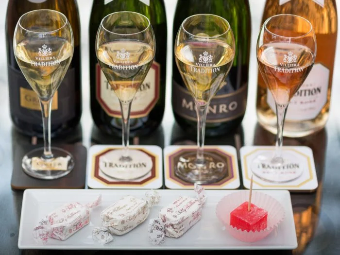 africa_photo_safari_cape_town_wine_tours