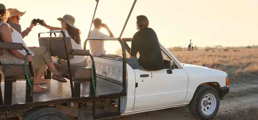 africa_photo_safari_cape_town_wine_tours