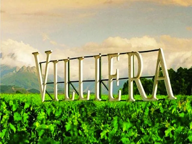 africa_photo_safari_cape_town_wine_tours