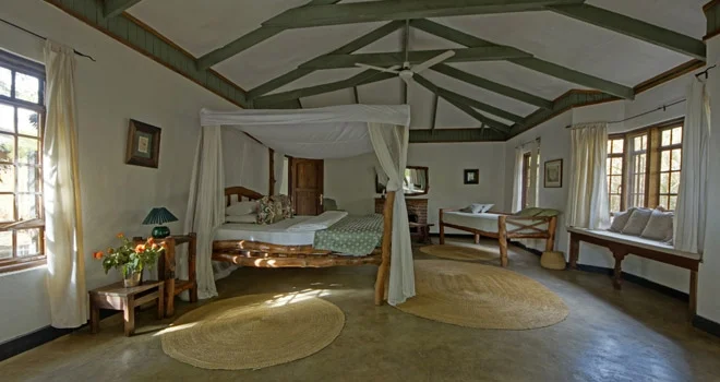 africa_photo_safari_Tanzania