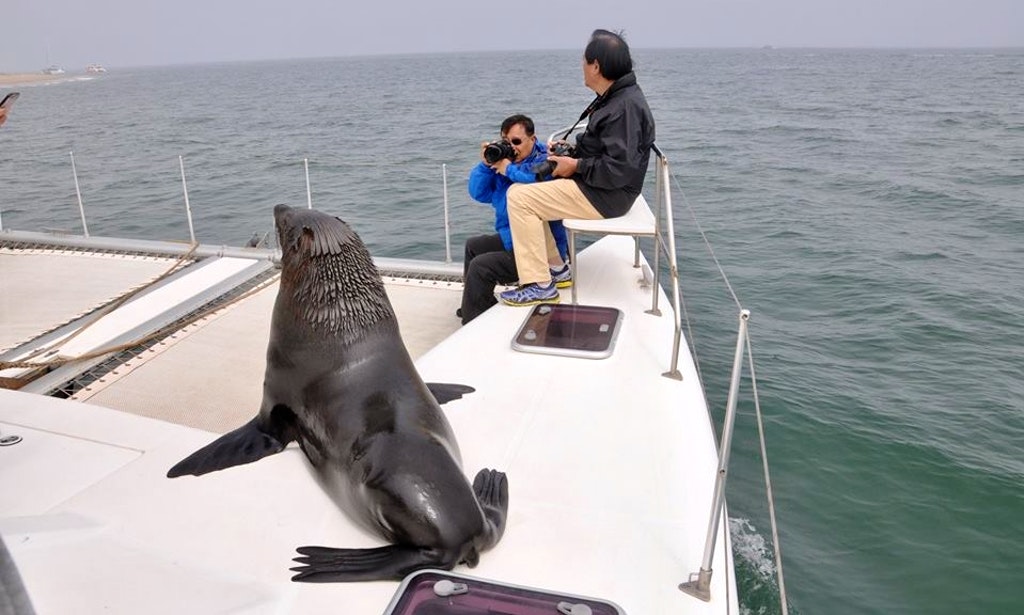 africa_photo_safari_Namibia_Swakopmund