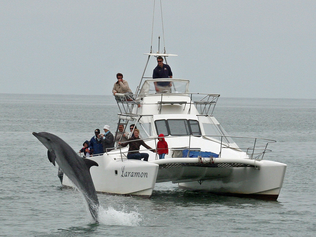 africa_photo_safari_Namibia_Swakopmund