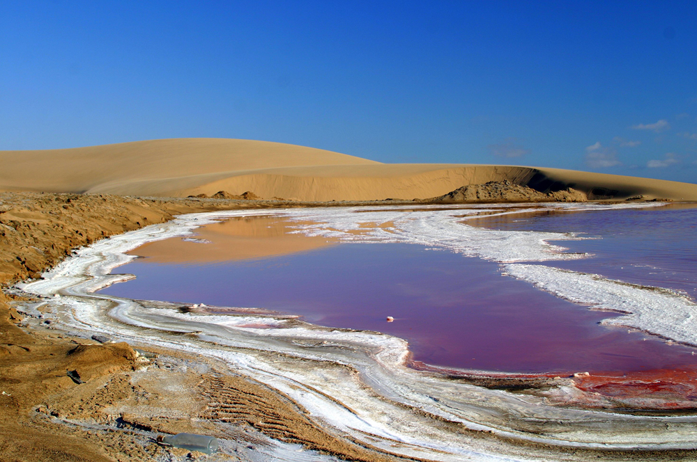 africa_photo_safari_Namibia_Swakopmund