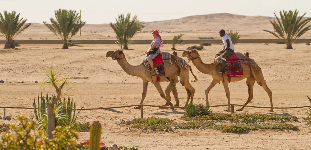 africa_photo_safari_Namibia_Swakopmund