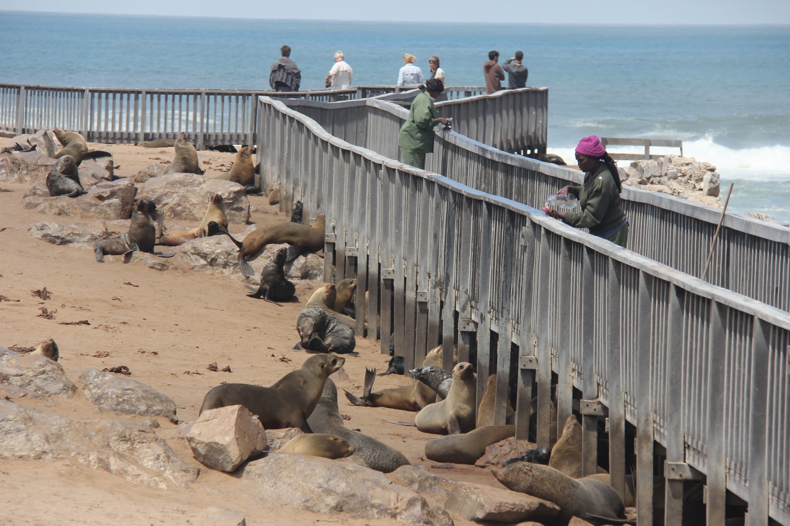africa_photo_safari_Namibia_Swakopmund