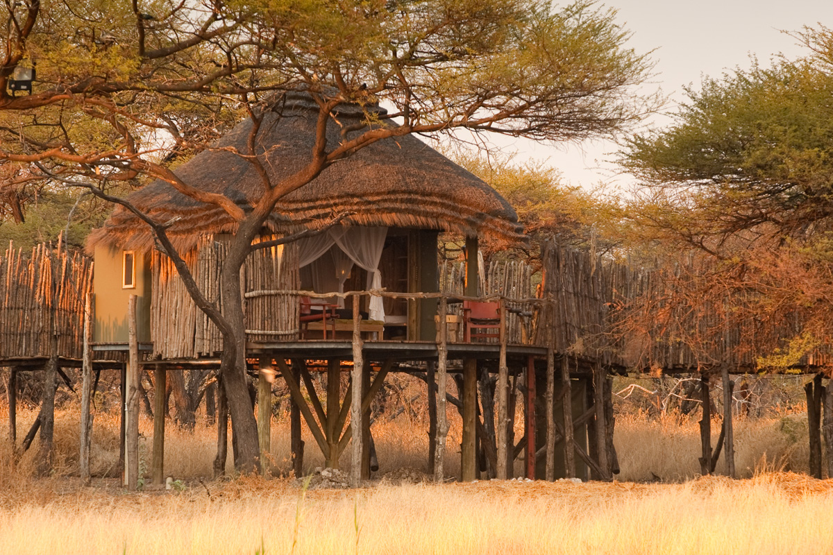 Onguma Treetop-aa13.jpg