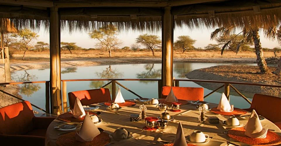 africa_photo_safari_Namibia_Etosha
