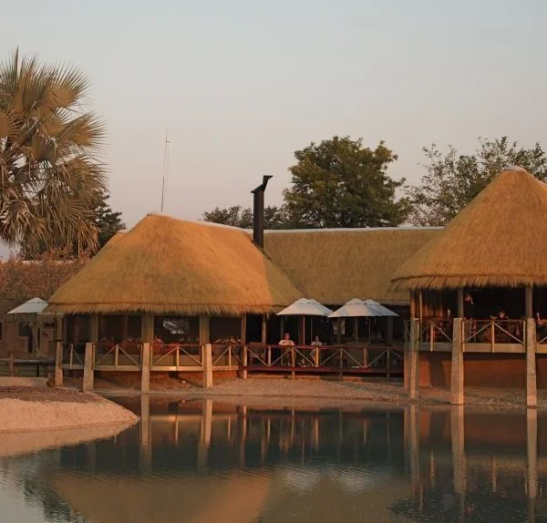 africa_photo_safari_Namibia_Etosha