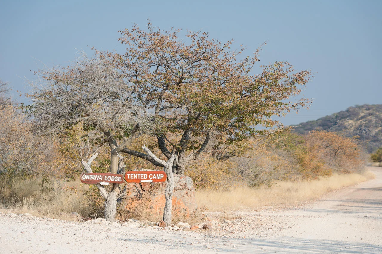 Ongava Tented camp_3d.jpg