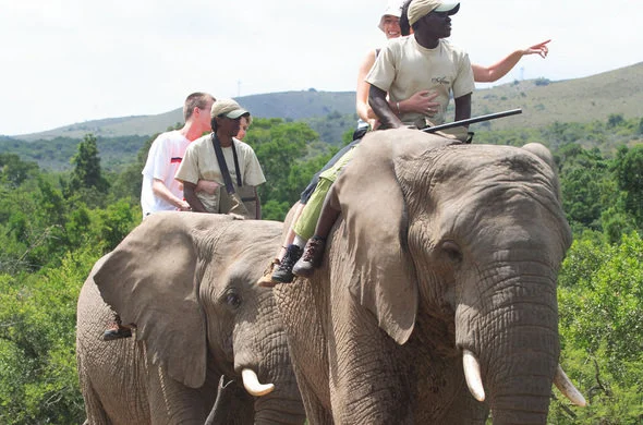 africa-photo-safari_ elephant interaction10.jpg