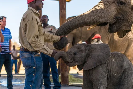 africa-photo-safari_ elephant interaction.jpg