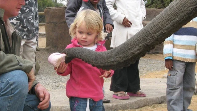 africa-photo-safar1_ elephant interaction3.jpg