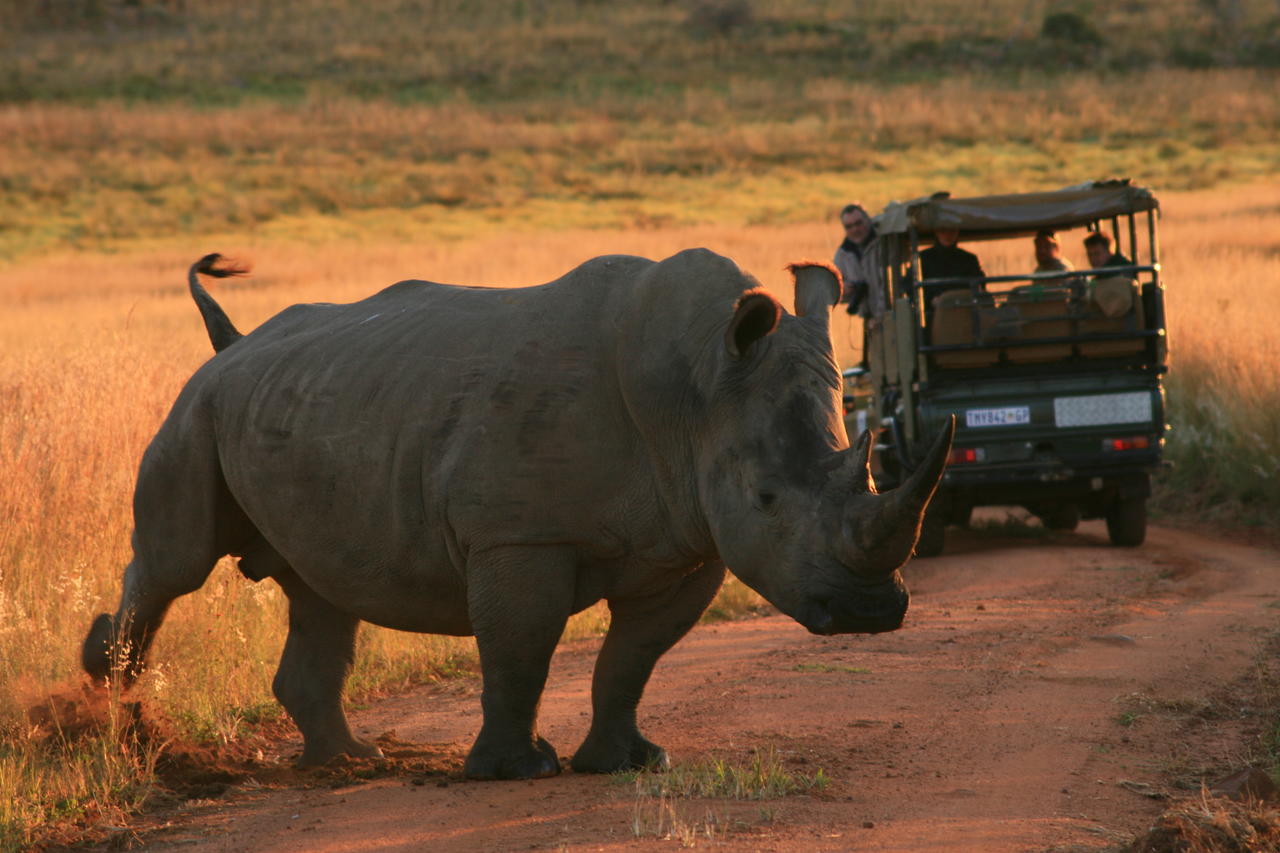 Africa photographic safari.jpg