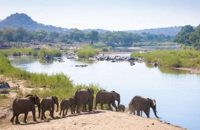 Elephants River Photo Camp5.jpg