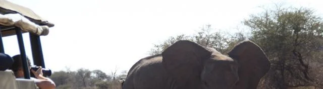 Elephants River Photo Camp4.jpg