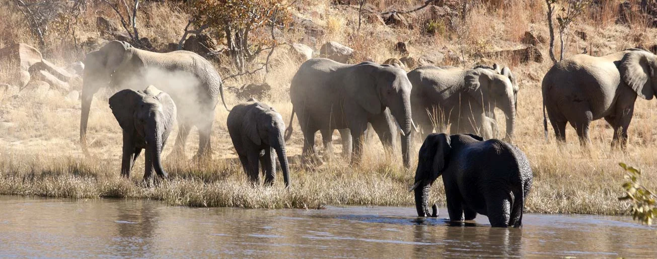 africa-photographic-safaris-3.jpg